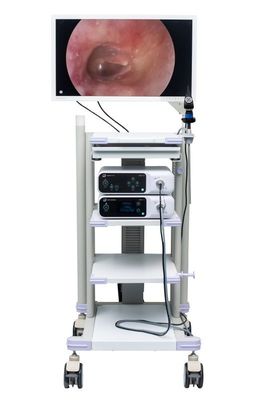 Ekran wyświetlacza chirurgicznego do kamery endoskopowej 27-calowy monitor do endoskopii medycznej